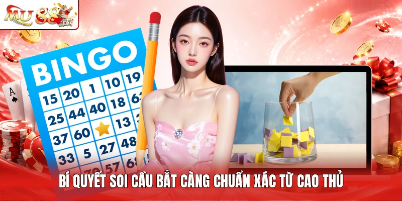Bí quyết soi cầu bắt càng chuẩn xác từ cao thủ