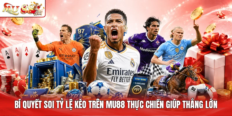Bí quyết soi tỷ lệ kèo trên MU88 thực chiến giúp thắng lớn