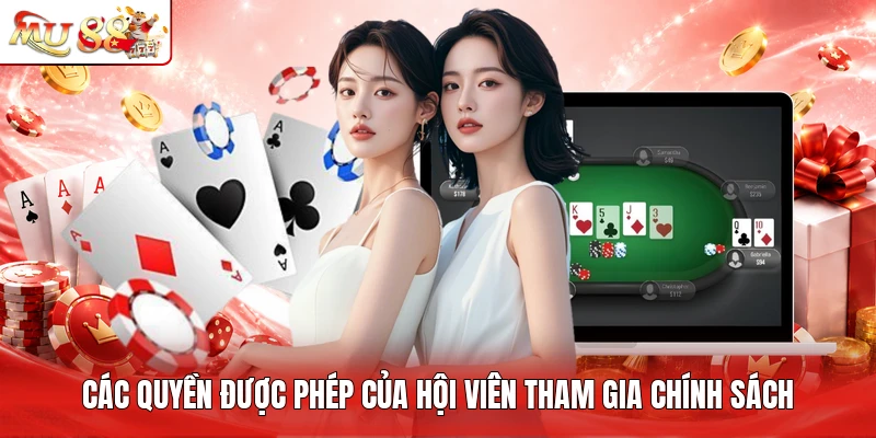 Các quyền được phép của hội viên tham gia chính sách