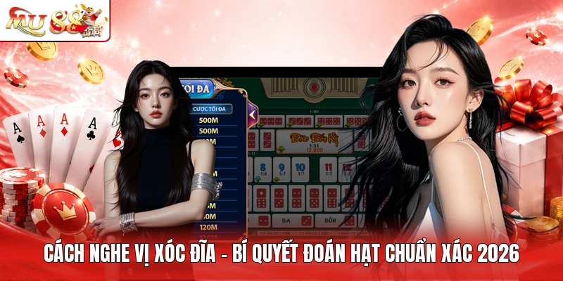 Cách Nghe Vị Xóc Đĩa - Bí Quyết Đoán Hạt Chuẩn Xác 2026