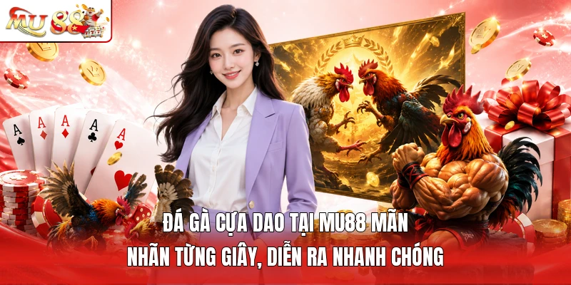Đá gà cựa dao tại MU88 mãn nhãn từng giây, diễn ra nhanh chóng
