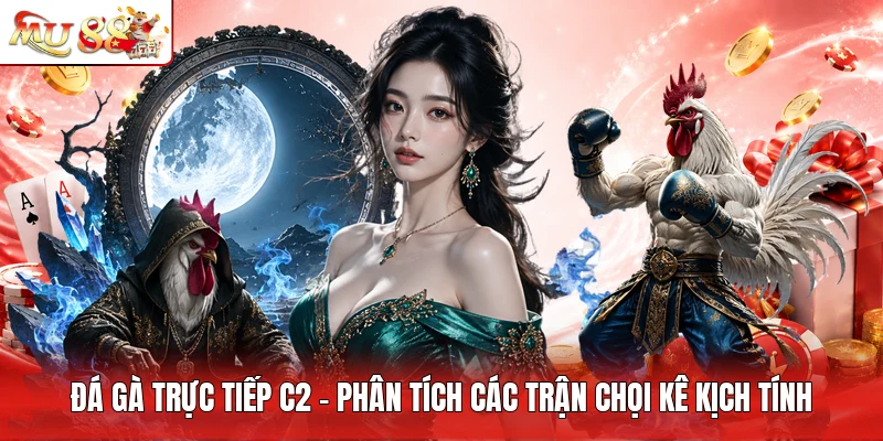 Đá Gà Trực Tiếp C2 - Phân Tích Các Trận Chọi Kê Kịch Tính