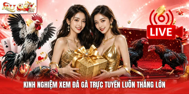 Kinh nghiệm xem đá gà trực tuyến luôn thắng lớn