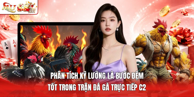 Phân tích kỹ lưỡng là bước đệm tốt trong trận đá gà trực tiếp C2