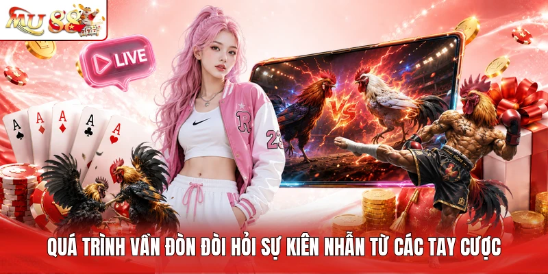 Quá trình vần đòn đòi hỏi sự kiên nhẫn từ các tay cược