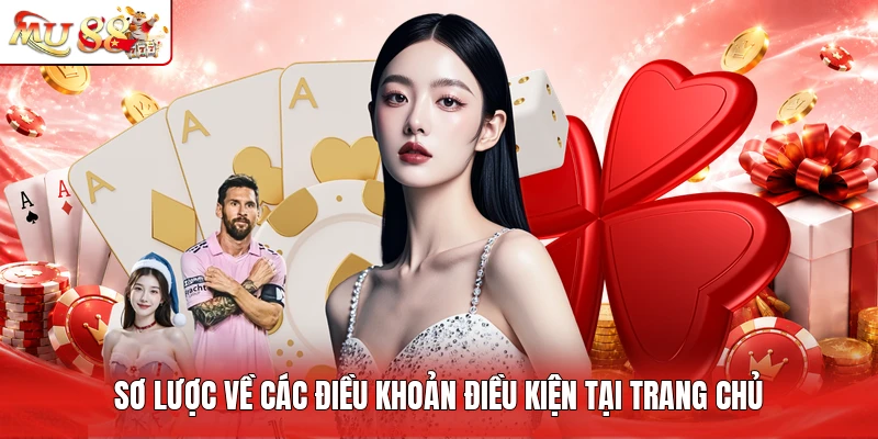 Sơ lược về các điều khoản điều kiện tại trang chủ