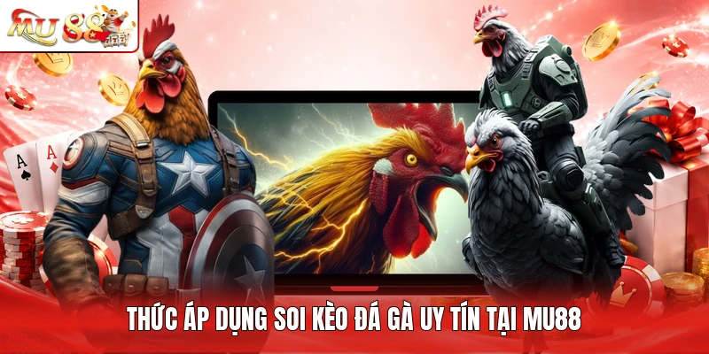 Hình thức áp dụng soi kèo đá gà uy tín tại MU88
