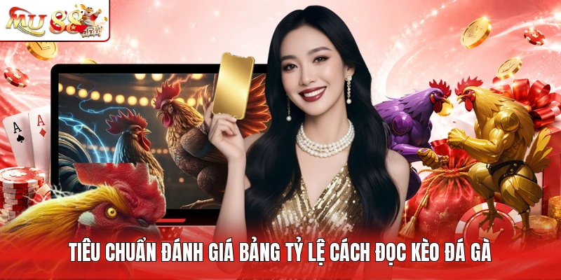 Tiêu chuẩn đánh giá bảng tỷ lệ cách đọc kèo đá gà